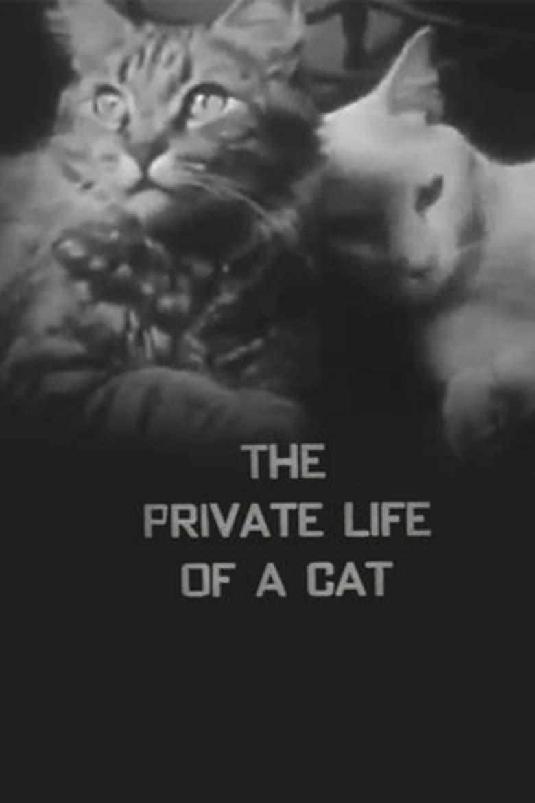 Poster of The Private Life of a Cat