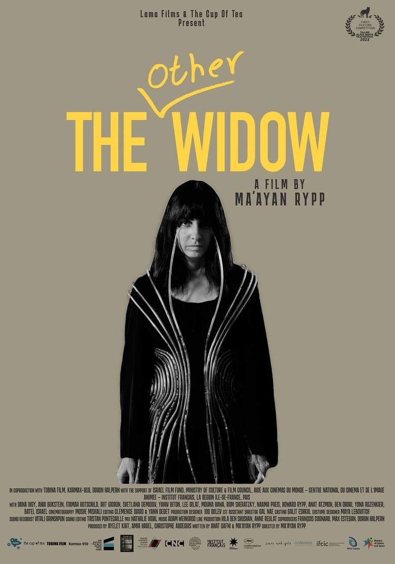 Poster of The Other Widow