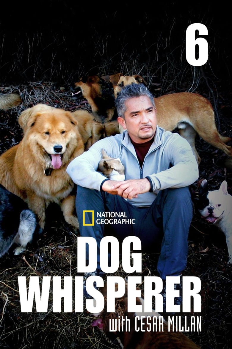 Poster of Dog Whisperer - Season 6 - Episode 8 - Episode 8