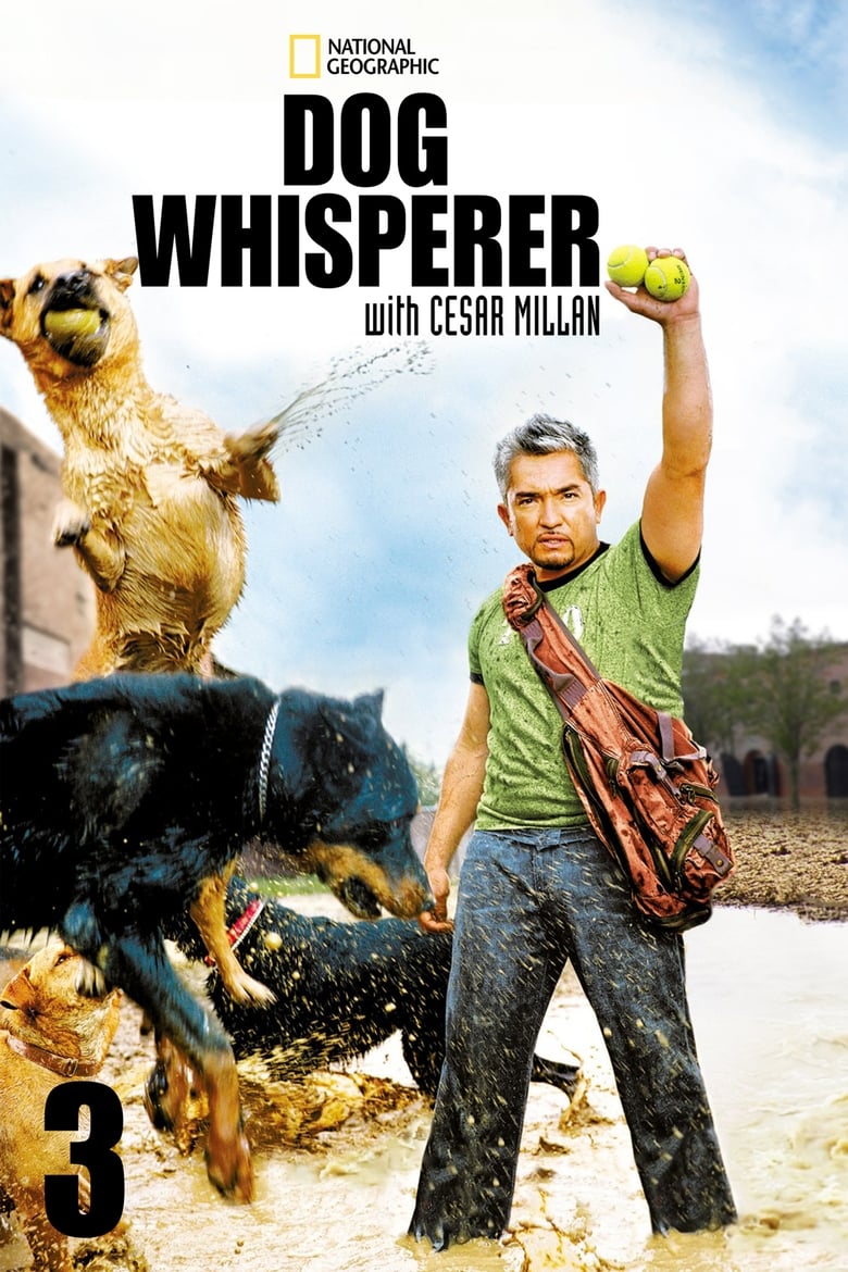 Poster of Dog Whisperer - Season 3 - Episode 14 - Episode 14