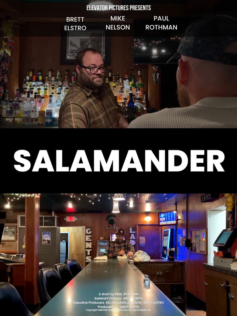 Poster of Salamander