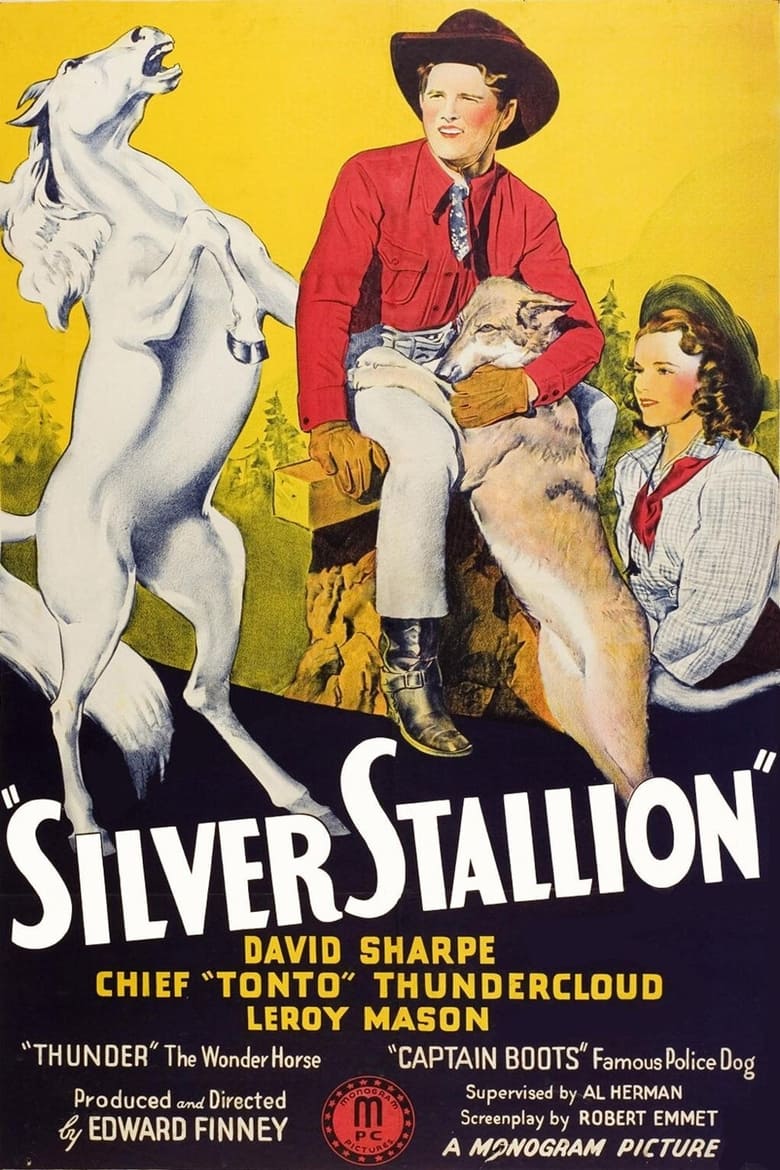 Poster of Silver Stallion