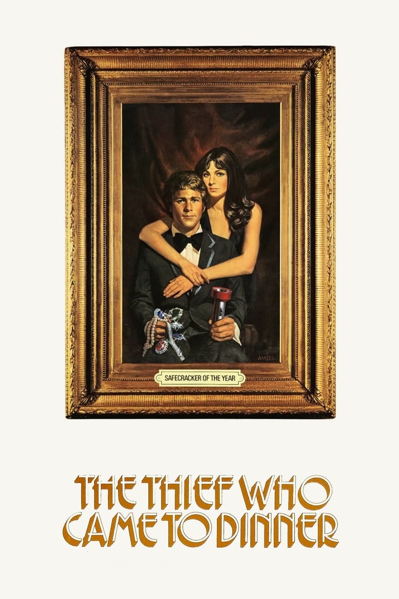 Poster of The Thief Who Came to Dinner