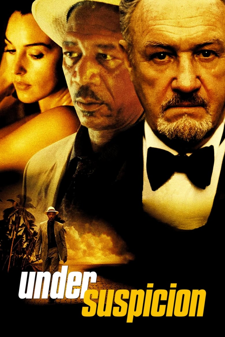 Poster of Under Suspicion