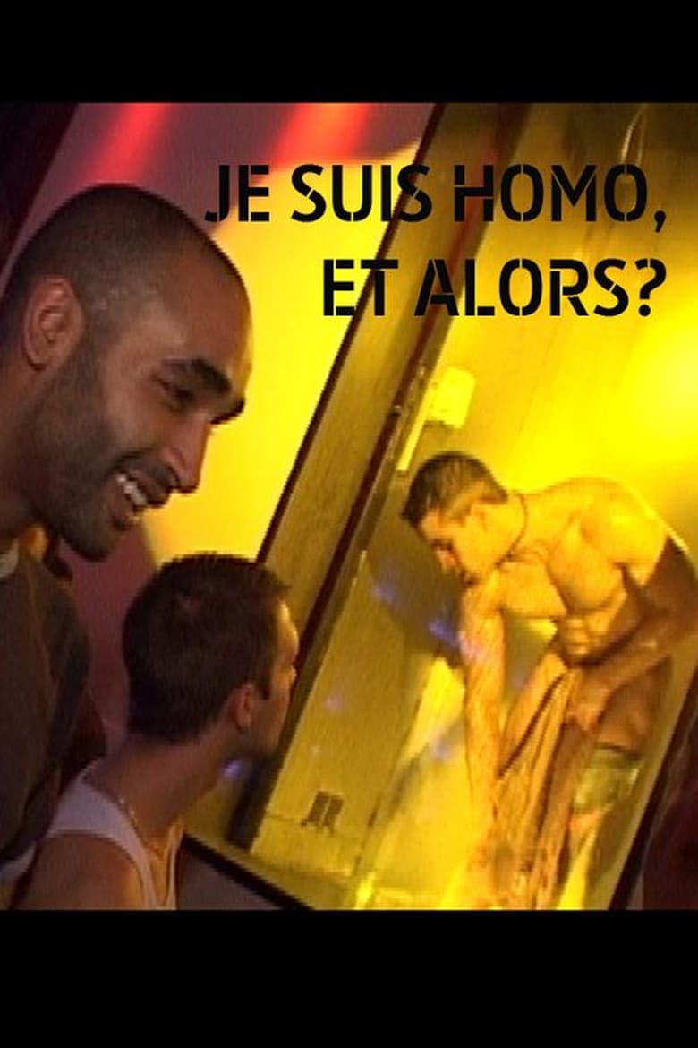 Poster of Je suis homo et alors?