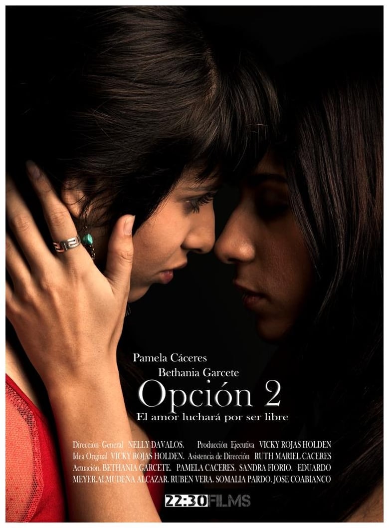 Poster of Opción 2