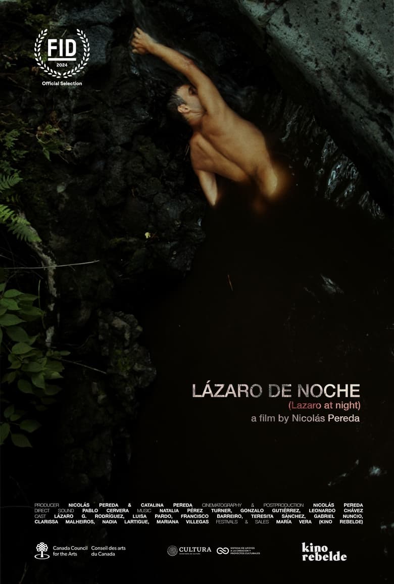 Poster of Lázaro de noche