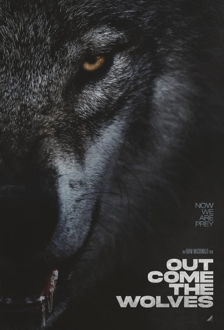 Poster of Out Come the Wolves