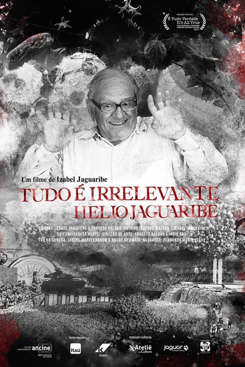 Poster of Tudo é Irrelevante. Hélio Jaguaribe