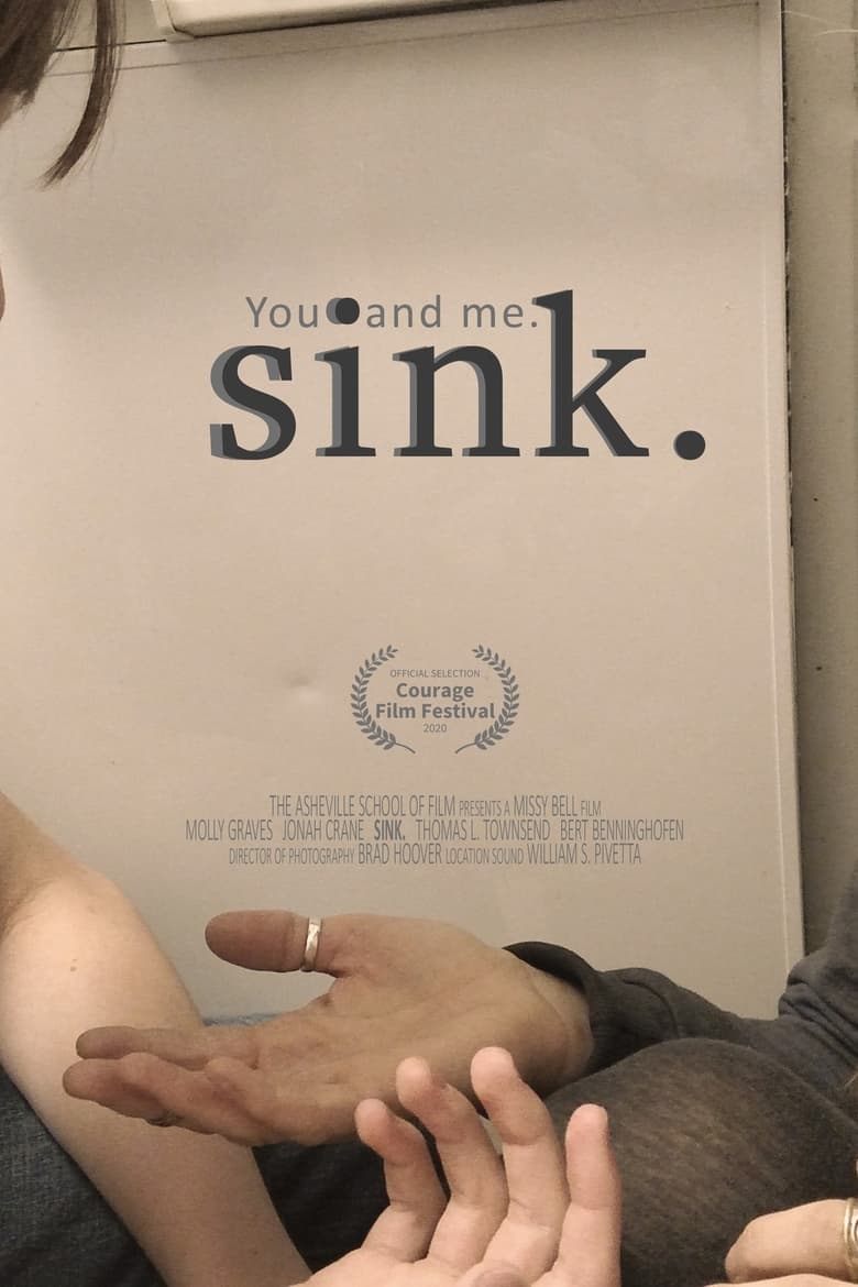 Poster of Sink