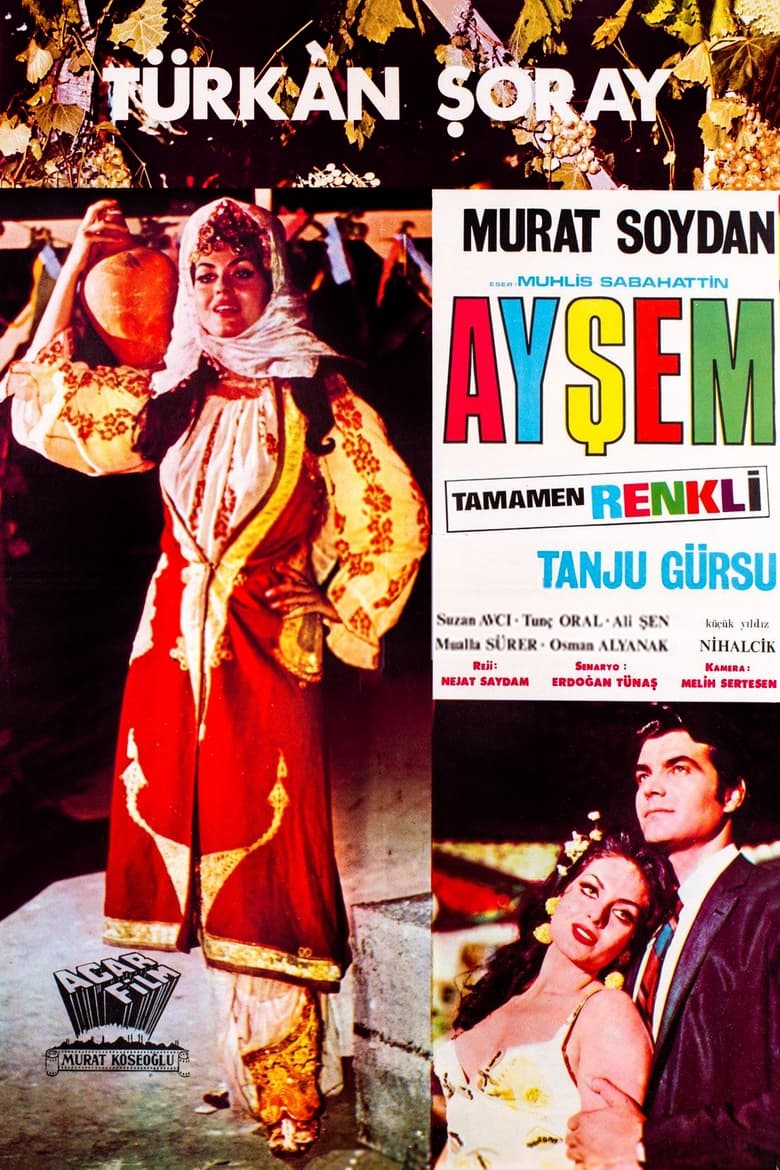 Poster of Ayşem