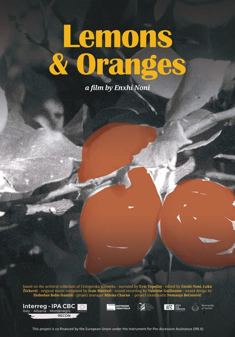 Poster of Lemons & Oranges