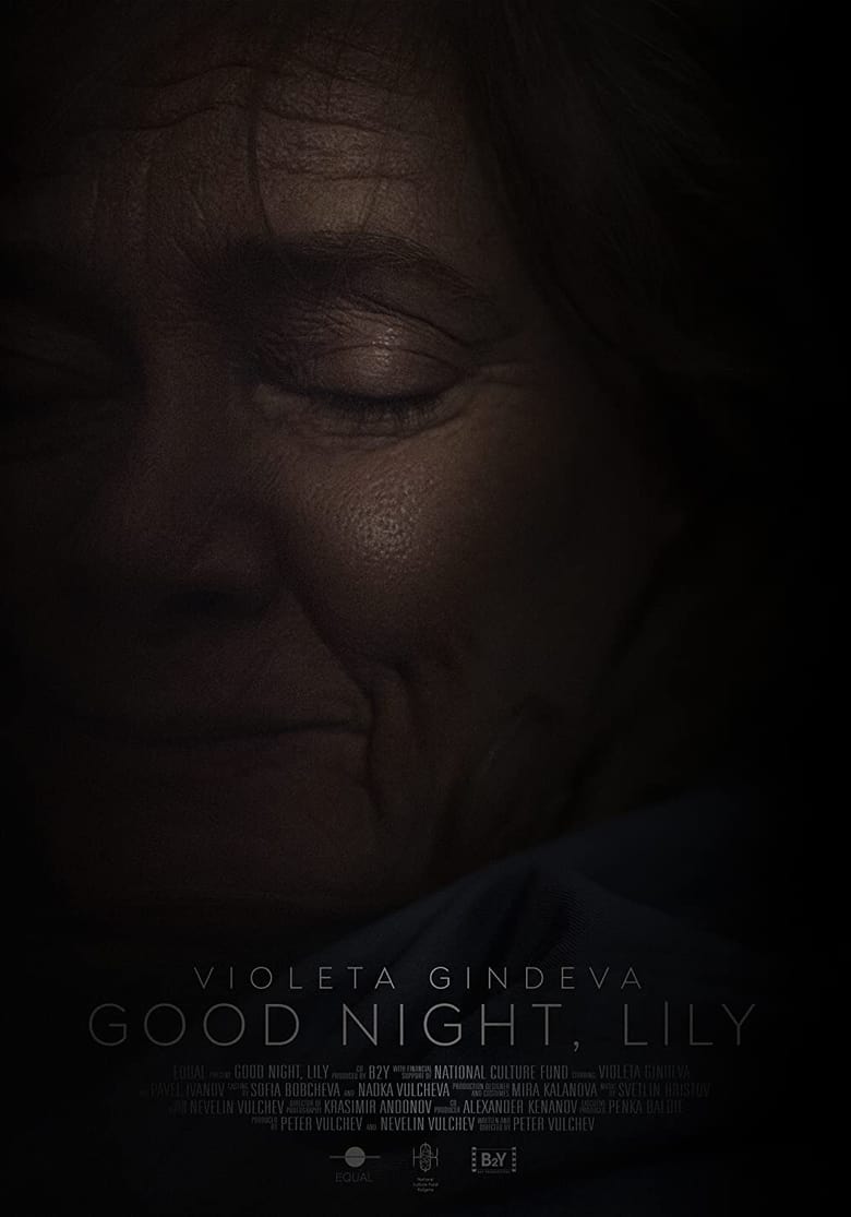 Poster of Good Night, Lily