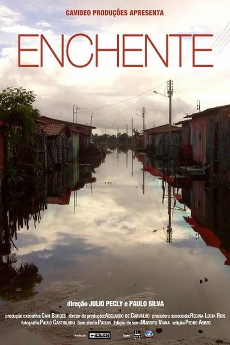 Poster of Enchente