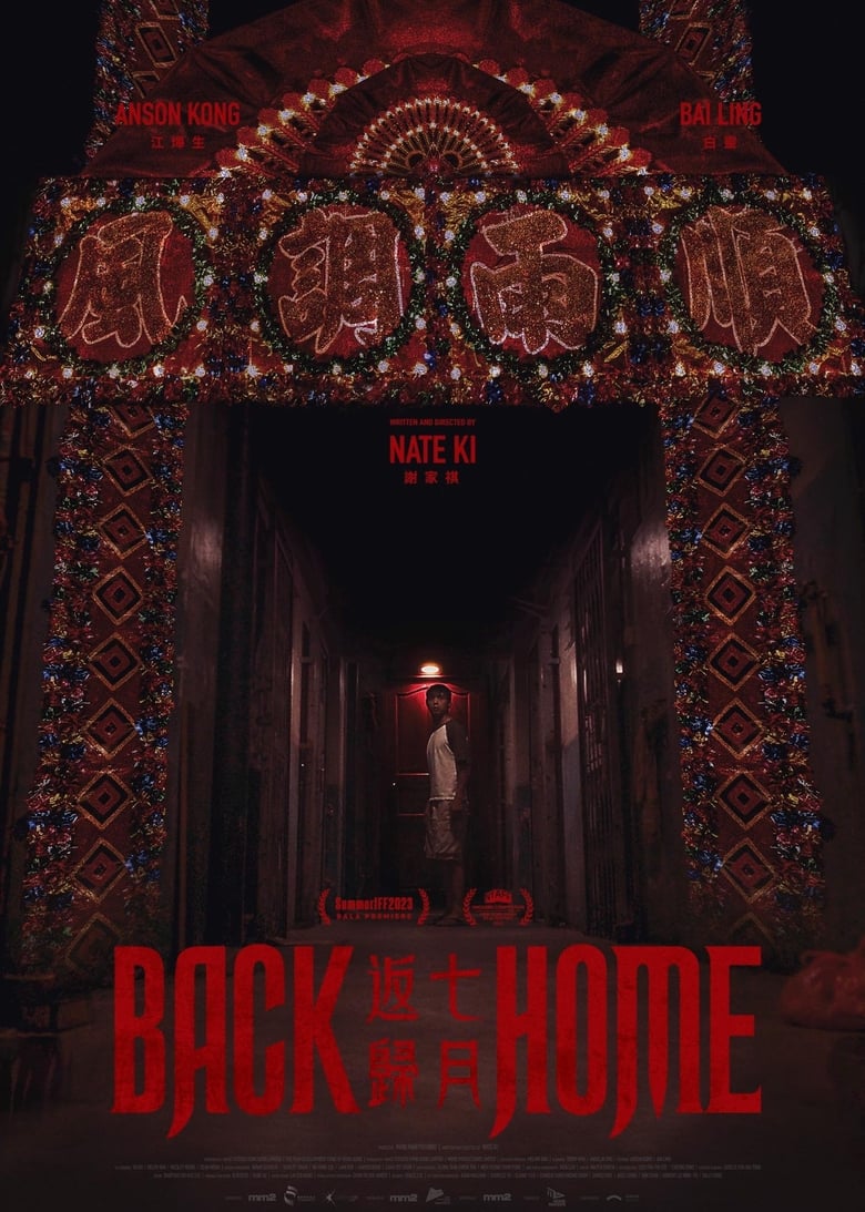 Poster of Back Home