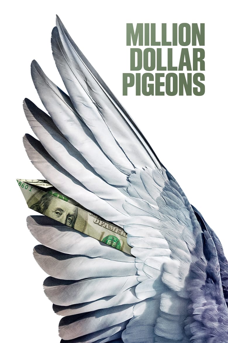 Poster of Million Dollar Pigeons