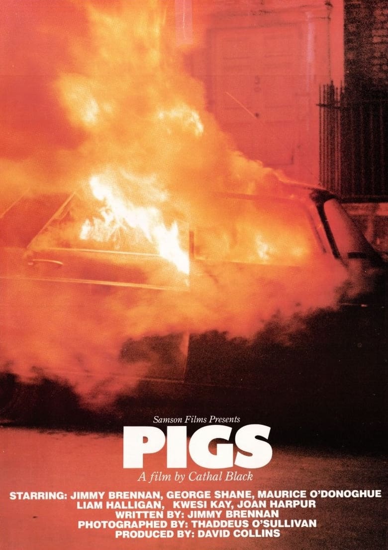 Poster of Pigs