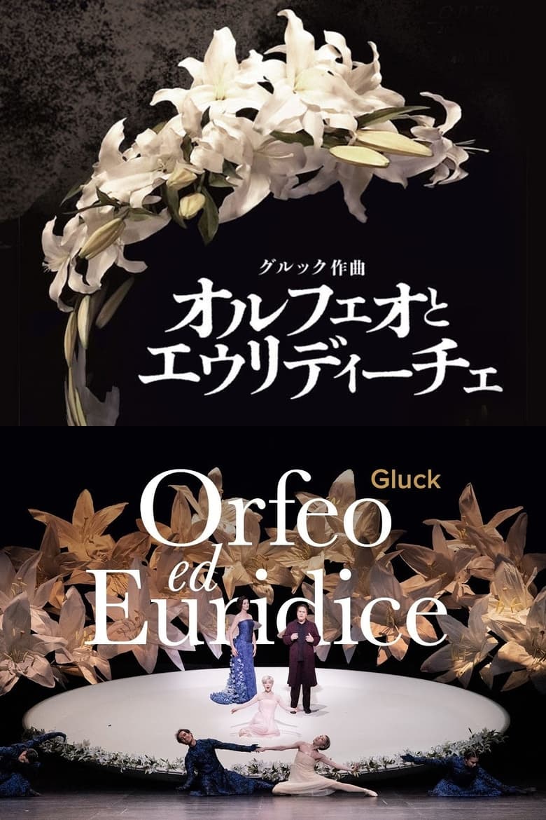 Poster of Orfeo ed Euridice - New National Theatre Tokyo