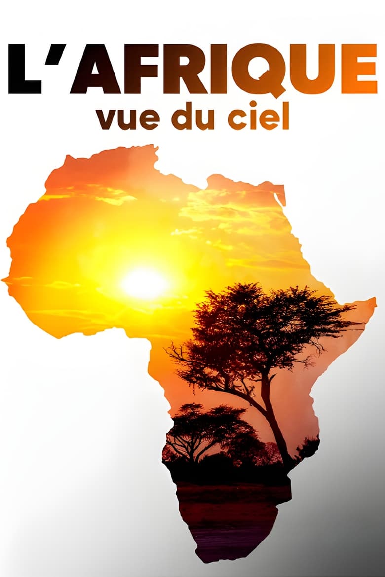 Poster of L'Afrique vue du ciel