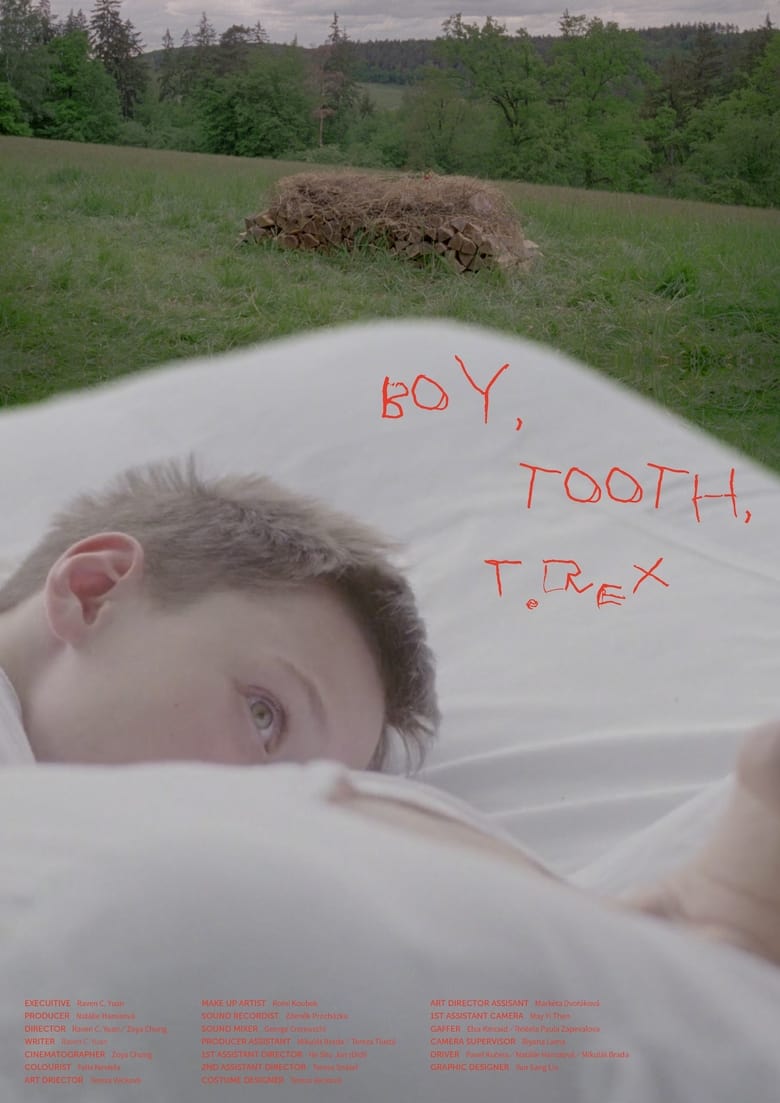 Poster of Boy, Tooth, T.Rex