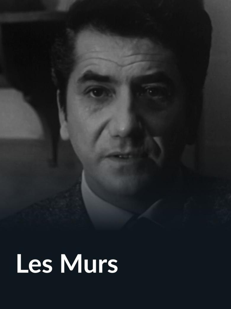 Poster of Les murs