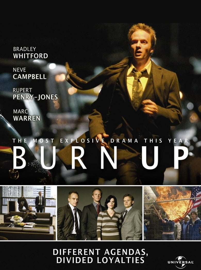 Poster of Burn Up