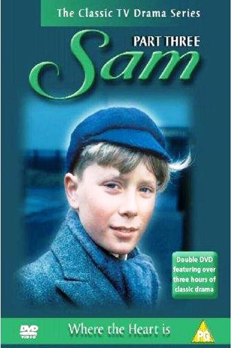 Poster of Sam