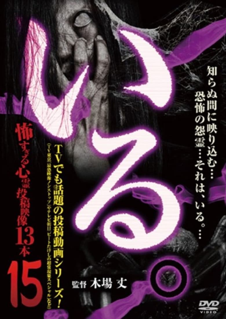 Poster of 「Iru.」~ Kowasugiru Tōkō Eizō 13-hon ~ Vol.15