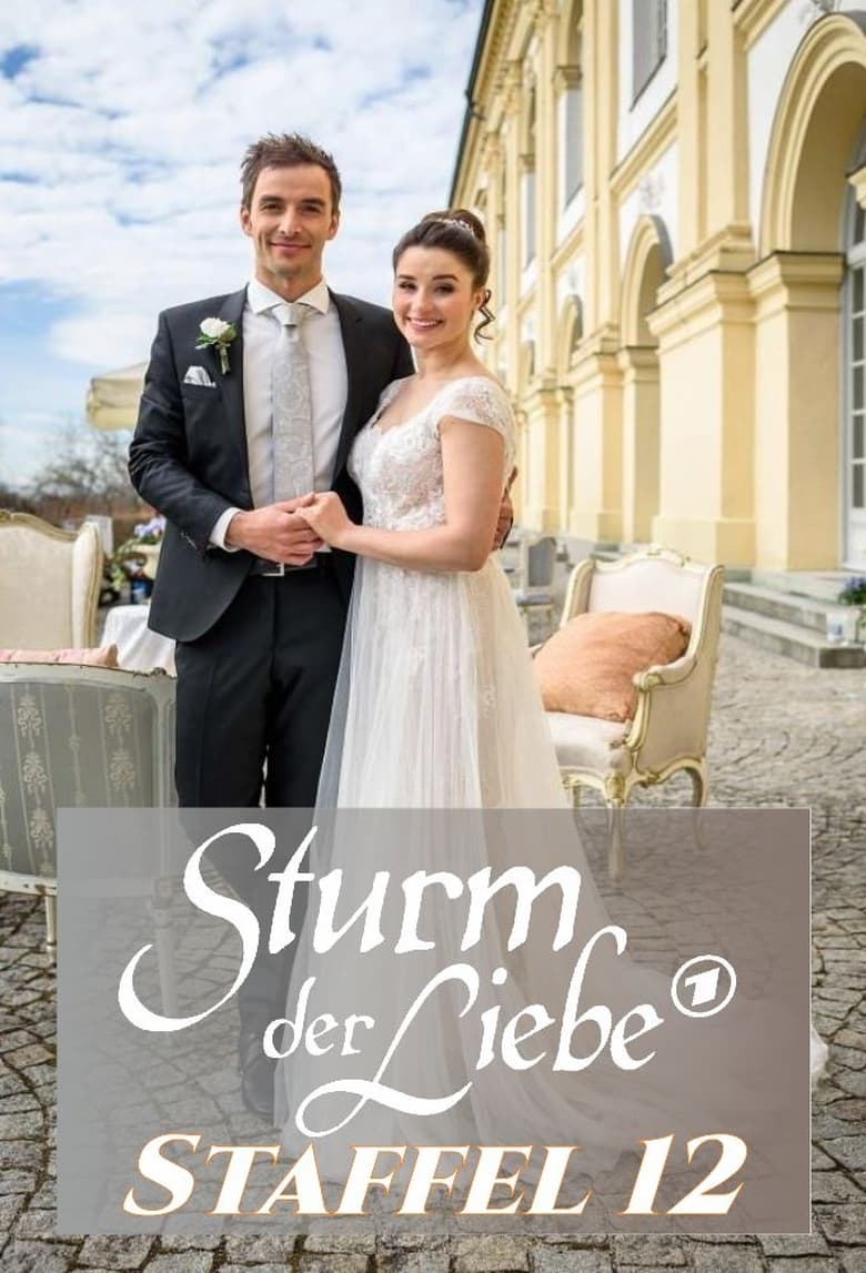 Poster of Episodes in Sturm Der Liebe - Season 12 - Season 12