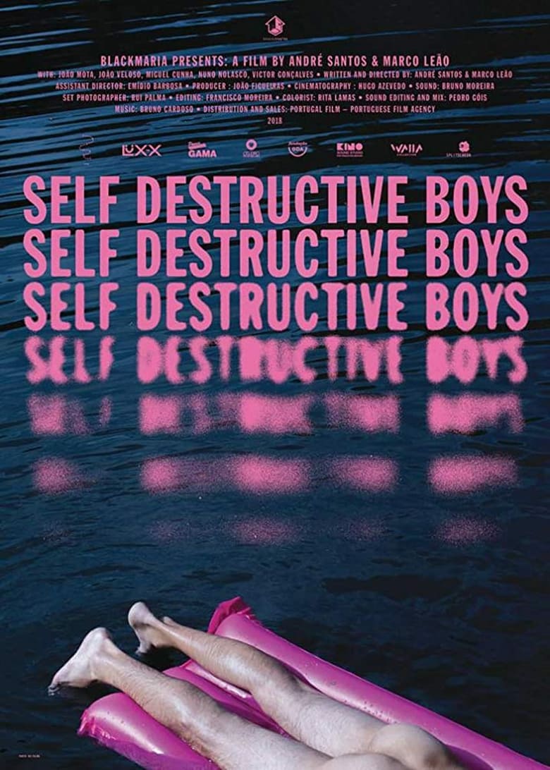 Poster of Self Destructive Boys