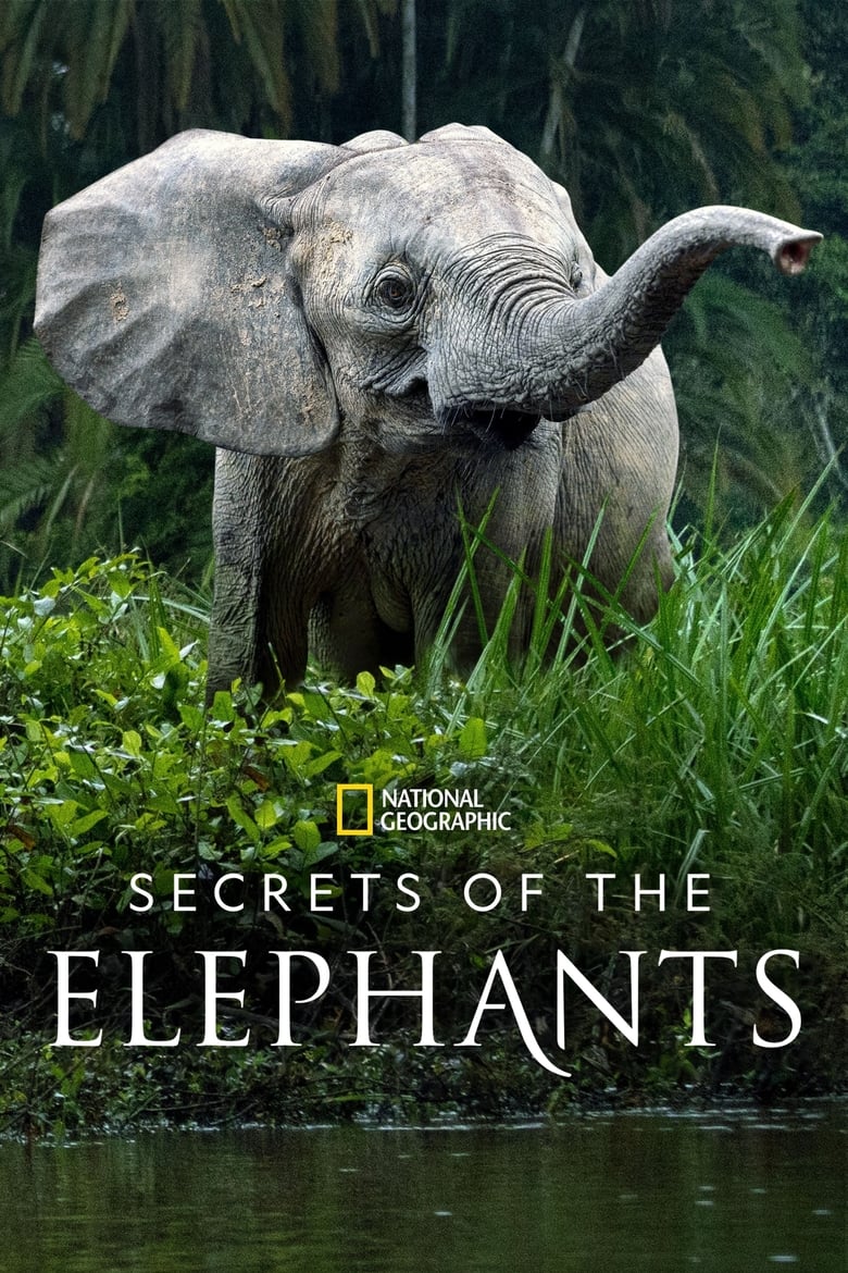 Poster of Episodes in Secrets Of The Elephants - Miniseries - Miniseries