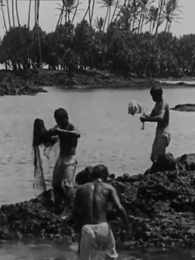 Poster of Kanaka Fishermen Casting the Throw Net, Hilo, H.I.