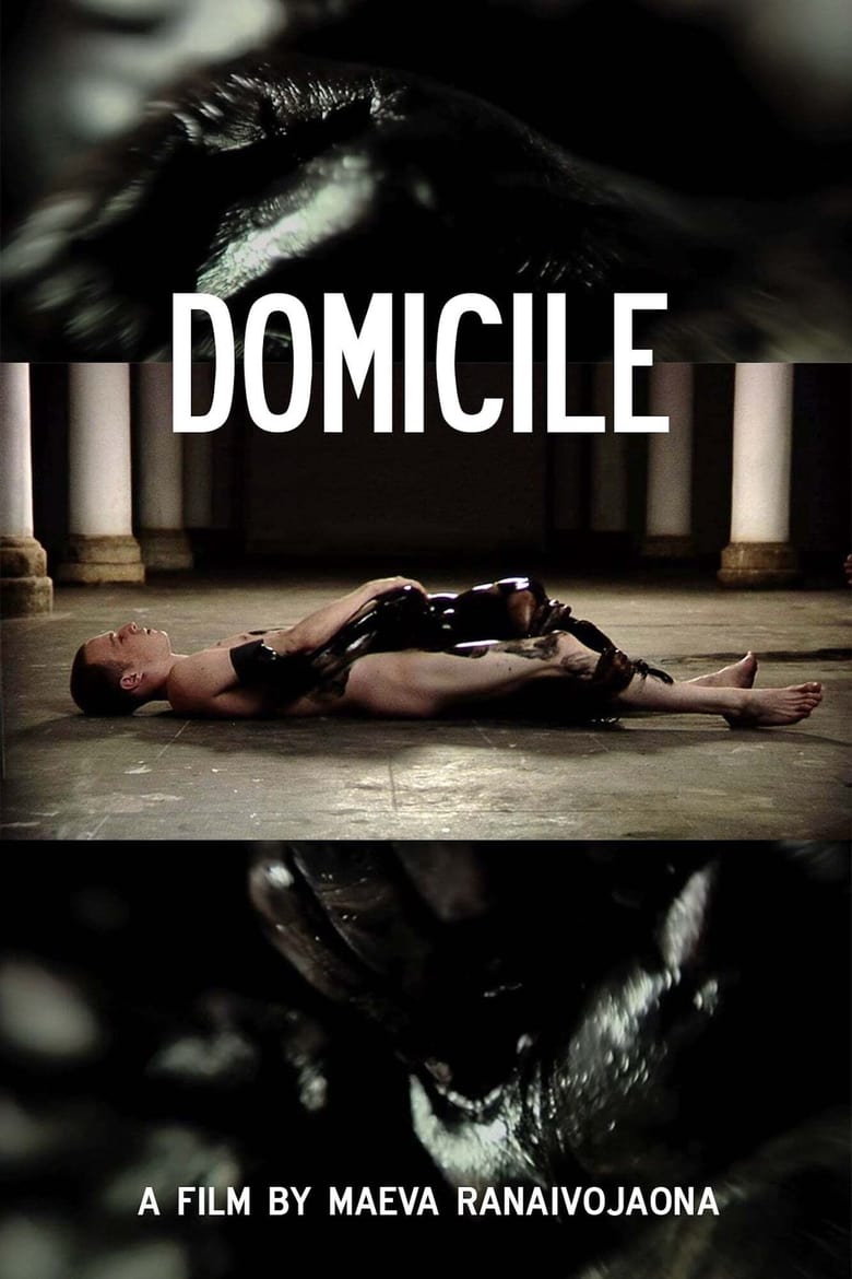 Poster of Domicile