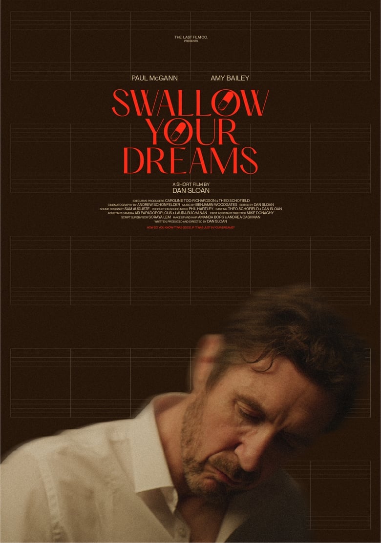 Poster of Swallow Your Dreams