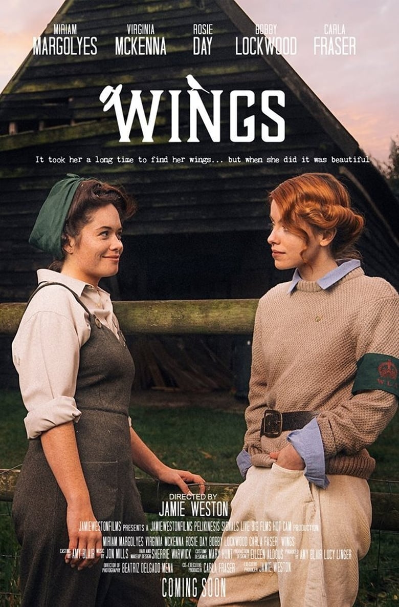 Poster of Wings