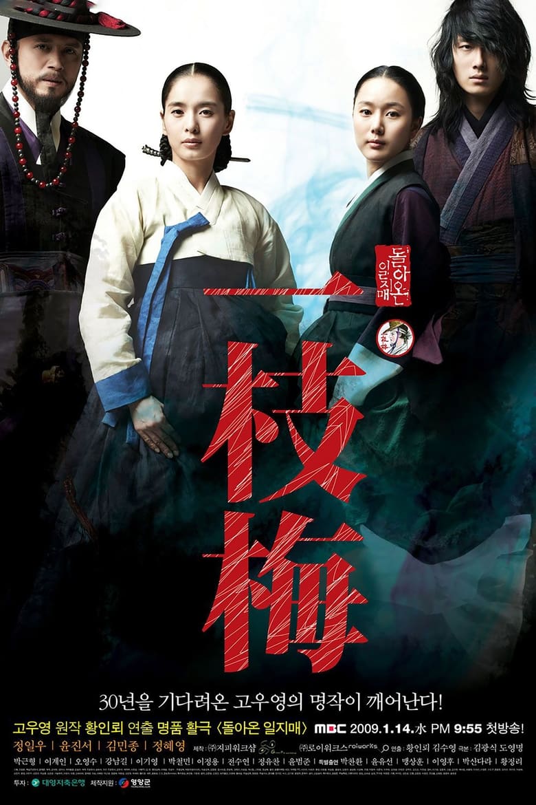 Poster of The Return of Iljimae