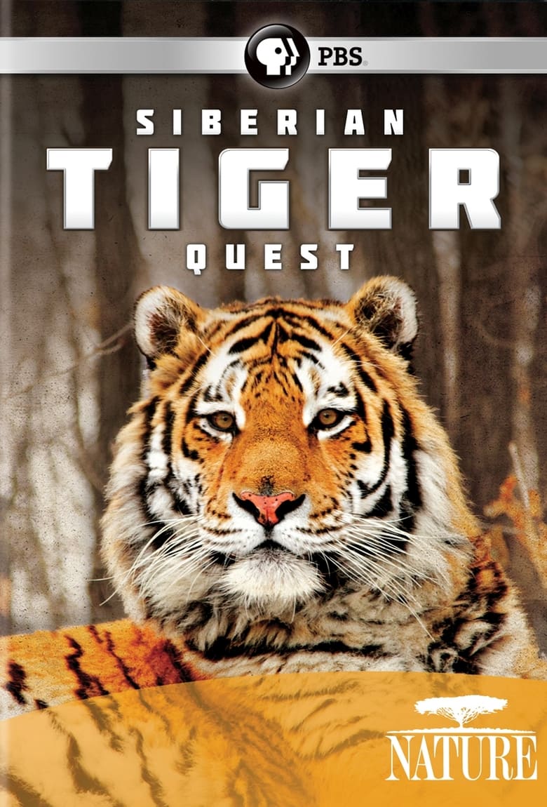 Poster of Siberian Tiger Quest