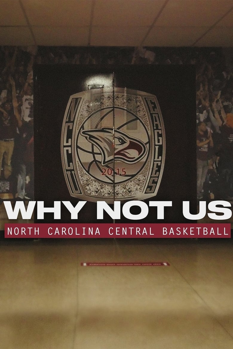 Poster of Why Not Us