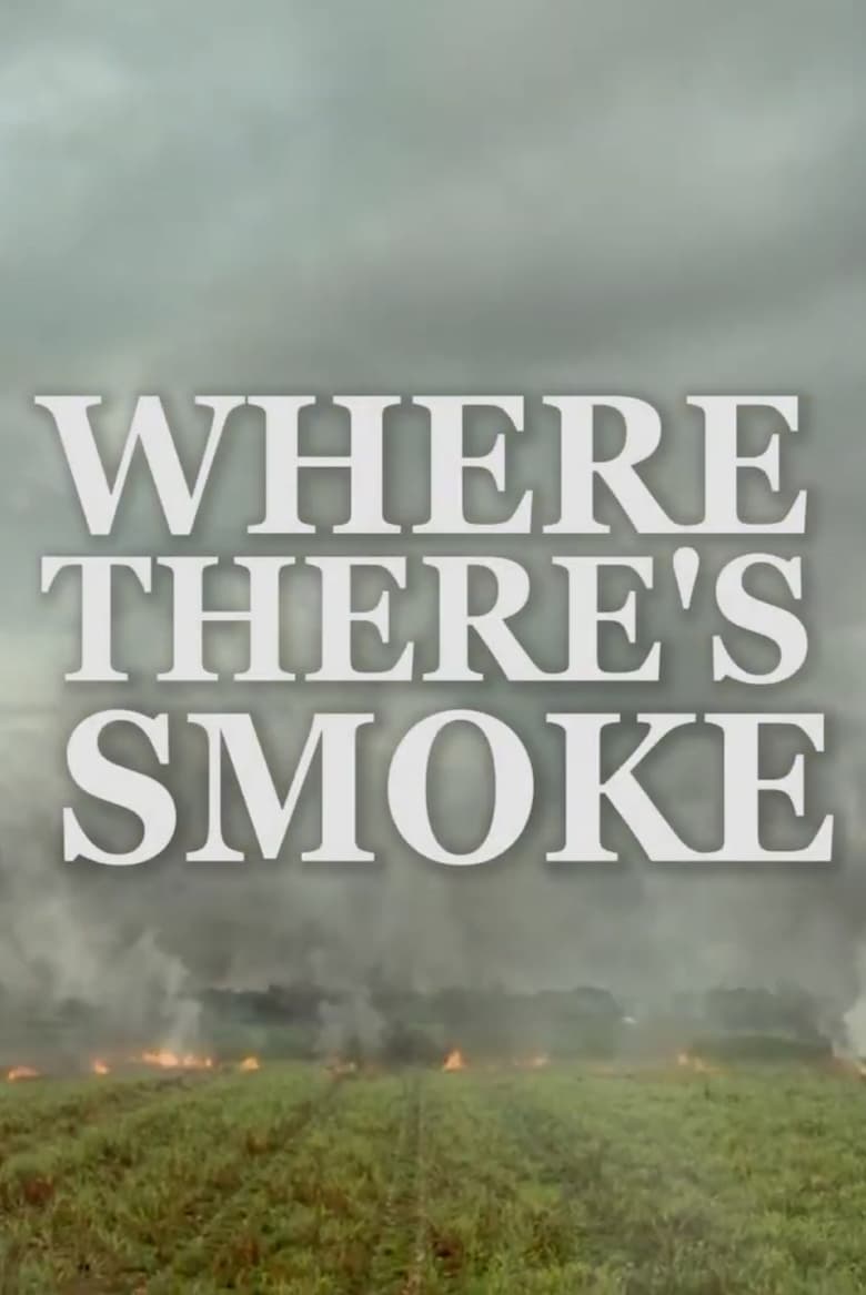 Poster of Where There’s Smoke