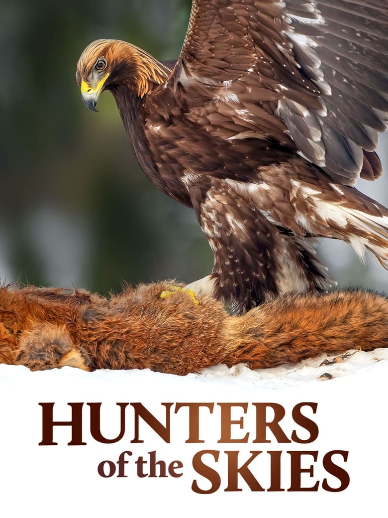 Poster of Hunters of the Skies