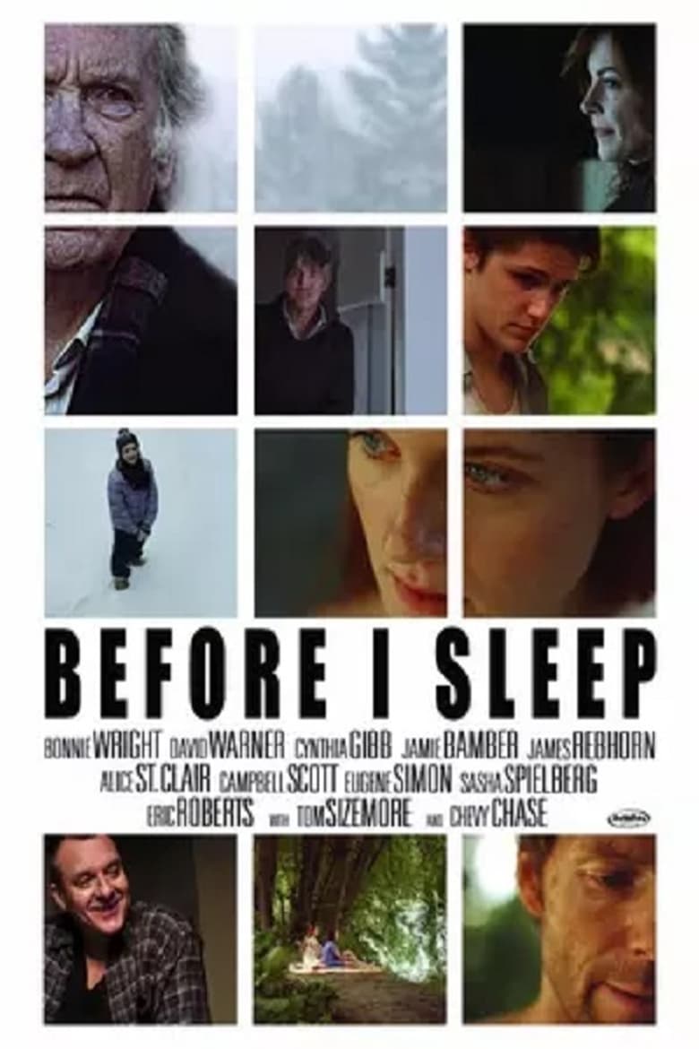 Poster of Before I Sleep