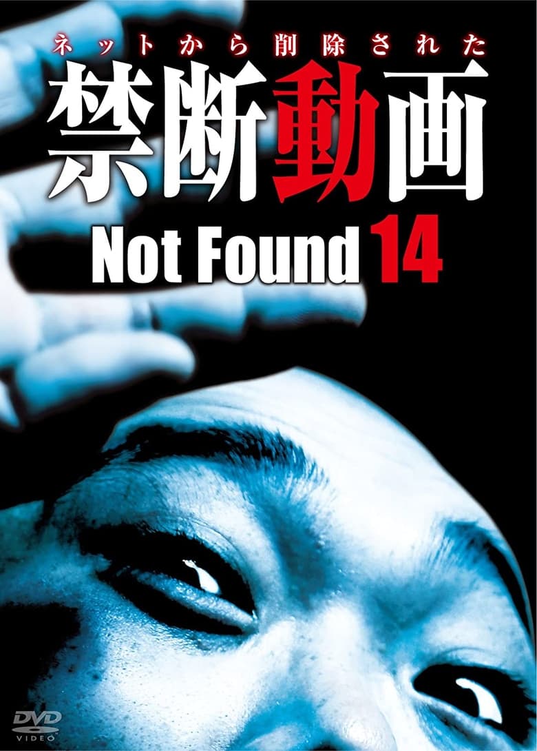 Poster of Not Found 14