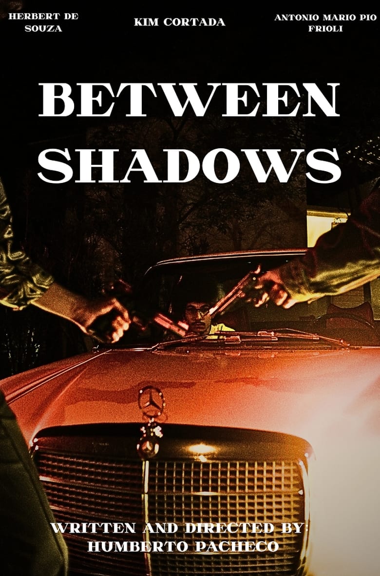 Poster of Between shadows