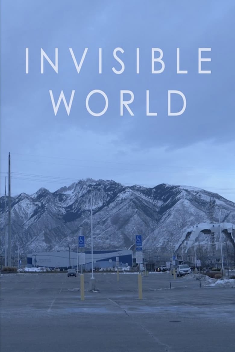 Poster of Invisible World