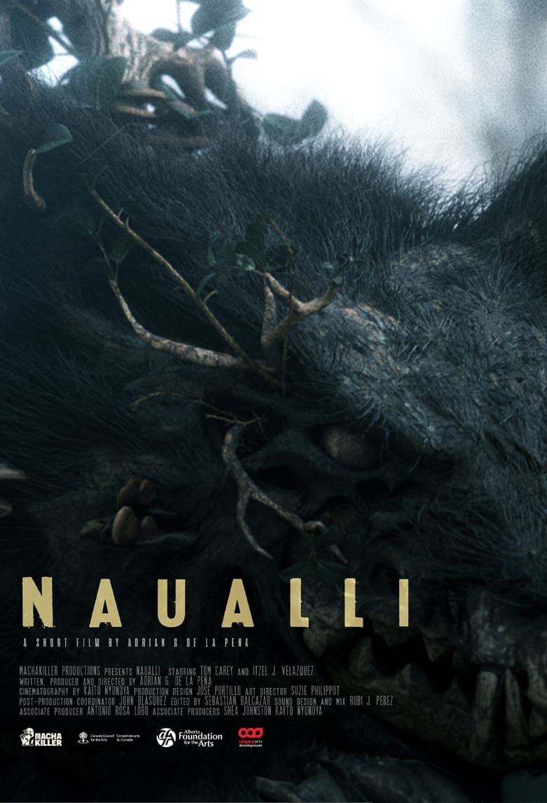 Poster of Naualli