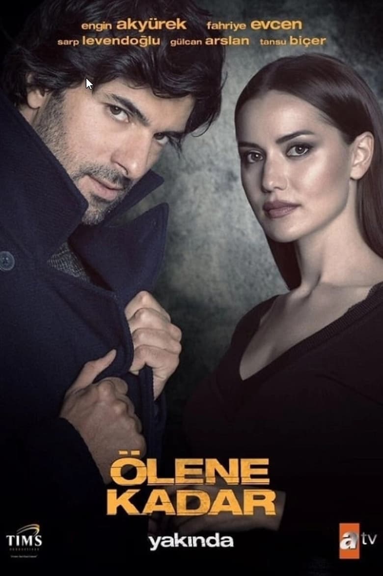 Poster of Episodes in Olene Kadar - Season 1 - Season 1