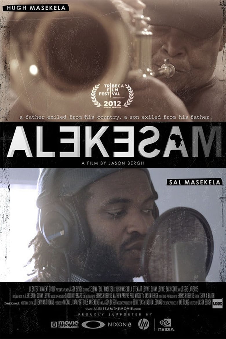 Poster of Alekesam