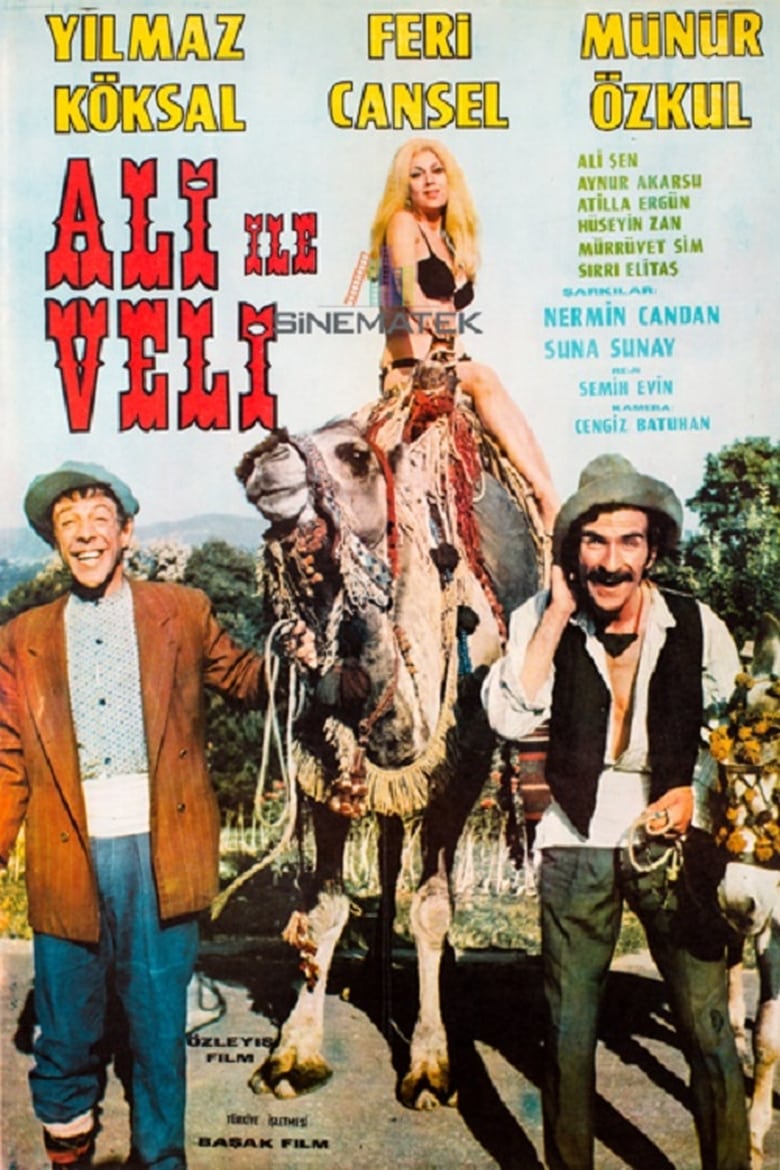 Poster of Ali ile Veli