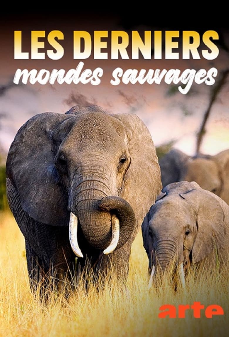 Poster of Les Derniers Mondes Sauvages