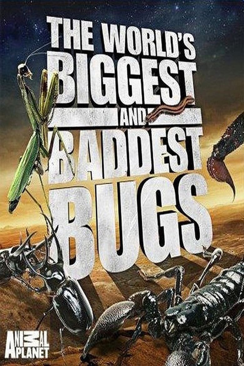 Poster of The World's Biggest and Baddest Bugs